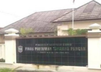 Ciamis Perkuat Ketahanan Pangan, Regenerasi Petani Muda Jadi Fokus Pembangunan Pertanian