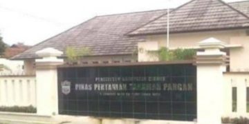 Perkuat Ketahanan Pangan, Ciamis Dorong Sinergi dan Kolaborasi
