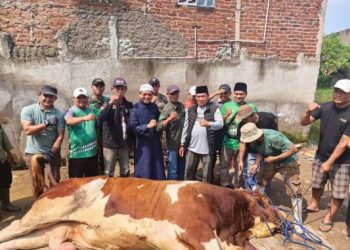 Sapi Qurban 1,3 Ton Bantuan dari Presiden Dipotong di Kampung Lamajang Citeureup Dayeuhkolot Bandung