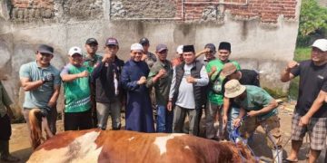 Sapi Qurban 1,3 Ton Bantuan dari Presiden Dipotong di Kampung Lamajang Citeureup Dayeuhkolot Bandung