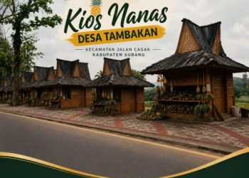 Polemik Pembangunan Kios Nanas, Pelaksana Tegaskan Sumber Anggaran Bukan dari APBD Provinsi