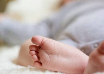 Bayi Ditemukan Terbungkus Body Bag, Polisi Bergerak Cepat Lakukan Penyelidikan