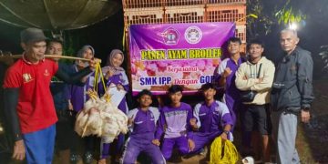 SMK IPP Ciamis Panen Perdana 5.000 Ekor Ayam, Siswa Belajar Hilirisasi di RPH Saat Harga Broiler Anjlok