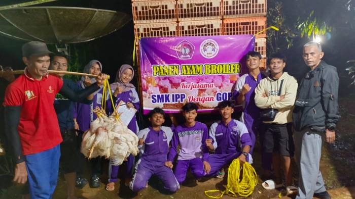SMK IPP Ciamis Panen Perdana 5.000 Ekor Ayam, Siswa Belajar Hilirisasi di RPH Saat Harga Broiler Anjlok