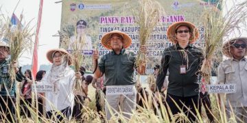 Panen Organik Jadi Momentum, Sekda Resmikan Sekretariat Klaster Padi Pamarican