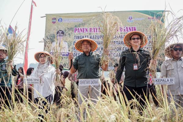 Panen Organik Jadi Momentum, Sekda Resmikan Sekretariat Klaster Padi Pamarican