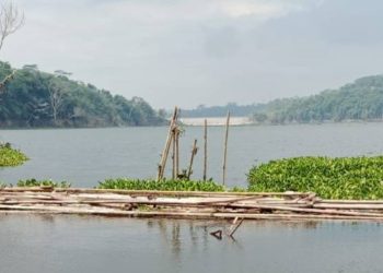 GACCORS Usulkan Eceng Gondok Leuwi Keris Ciamis Jadi Bahan Pupuk Organik