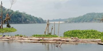 GACCORS Usulkan Eceng Gondok Leuwi Keris Ciamis Jadi Bahan Pupuk Organik