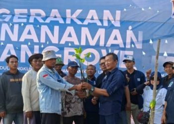 HUT IWO ke-14, Wujudkan Aksi Nyata Peduli Lingkungan Lewat Penanaman 1.400 Mangrove