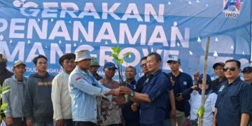 HUT IWO ke-14, Wujudkan Aksi Nyata Peduli Lingkungan Lewat Penanaman 1.400 Mangrove