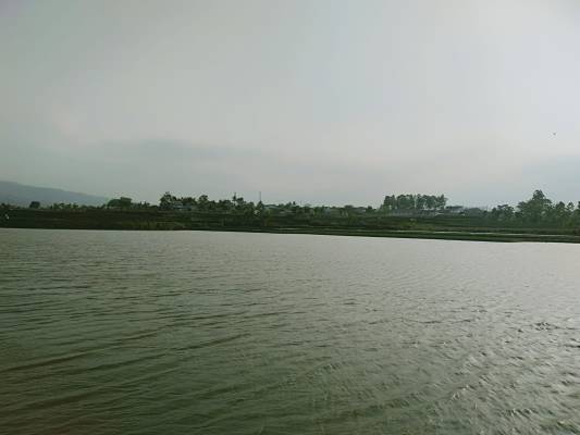 Kolam Sawah Sebrang Makam Sempur Sukabakti Mendadak Viral, Ratusan Pengunjung Berwisata Melihat Indahnya Gunung Cikuray