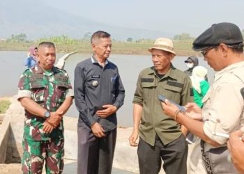 Sawah Viral Blok Sempur di Garut Didorong Dikembangkan dan Ditata