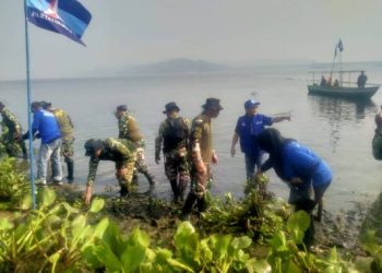 Gerakan Asri Indonesia Langit Biru, Demokrat Purwakarta Bersihkan Eceng Gondok di Danau Jatiluhur
