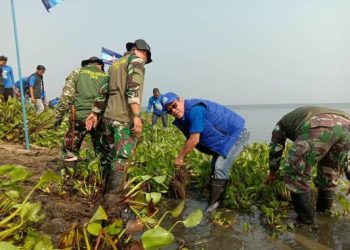 Gerakan Asri Indonesia Langit Biru, Demokrat Purwakarta Bersihkan Eceng Gondok di Danau Jatiluhur