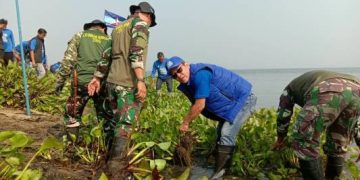 Gerakan Asri Indonesia Langit Biru, Demokrat Purwakarta Bersihkan Eceng Gondok di Danau Jatiluhur