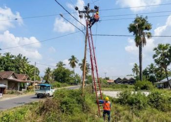 PLN Siaga Bencana Flores, Pastikan Sistem Kelistrikan Aman Jelang HUT ke-81 RI