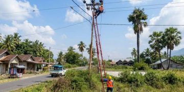 PLN Siaga Bencana Flores, Pastikan Sistem Kelistrikan Aman Jelang HUT ke-81 RI