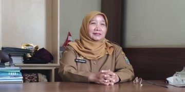 BKPSDM Ciamis Tegaskan Tugas ASN, 12.809 Pegawai Tercatat