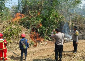 Polisi Bersama Damkar dan Warga Padamkan Kebakaran Lahan
