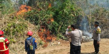 Polisi Bersama Damkar dan Warga Padamkan Kebakaran Lahan