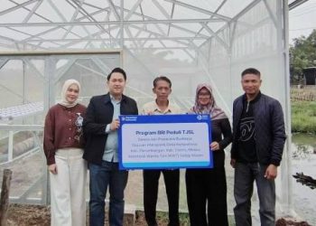 BRI Ciamis Dorong Kemandirian Pangan Desa Lewat Green House Hidroponik KWT Sedap Malam
