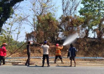 Damkar Padamkan Kebakaran Lahan Kering di Jatiluhur, Polisi Amankan ODGJ