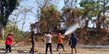 Damkar Padamkan Kebakaran Lahan Kering di Jatiluhur, Polisi Amankan ODGJ