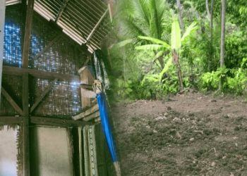Gotong Royong Warga dan Bantuan Bupati, Ina Riana Segera Punya Rumah Baru di Tanah Relokasi