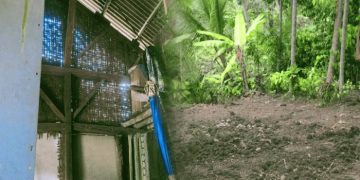 Gotong Royong Warga dan Bantuan Bupati, Ina Riana Segera Punya Rumah Baru di Tanah Relokasi