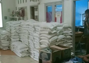 1.146 KPM Muktisari Segera Terima Bantuan Beras Bulog