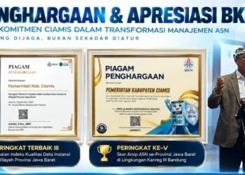 Ciamis Bawa Pulang Dua Penghargaan BKN, Bukti Komitmen Tata Kelola ASN