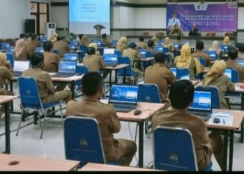 531 PNS Ciamis Jalani Profiling, BKPSDM Petakan Potensi dan Kompetensi ASN