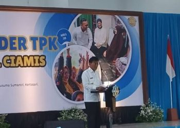 Di Hadapan Menteri Wihaji, Bupati Herdiat Ungkap Persoalan Stunting Ciamis