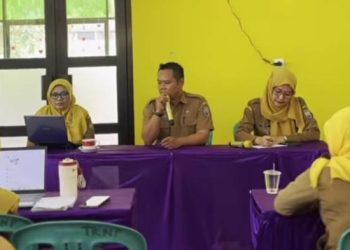 Dari Bimtek Kemendikdasmen, Disdik Ciamis Sebarkan Penguatan Digitalisasi PAUD