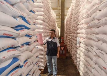 Jelang Musim Hujan, Pupuk Kujang Perkuat Stok Pupuk Bersubsidi, Garut Miliki Hampir 6 Ribu Ton Urea