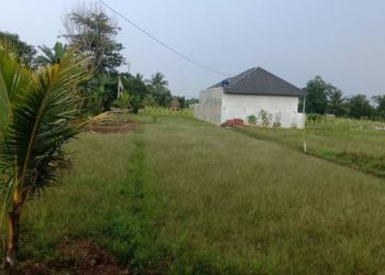 Diduga Tanah yang Sudah Dibayar Uang Muka Dijual Kembali, Yayasan Rumah Yatim Siap Tempuh Jalur Hukum