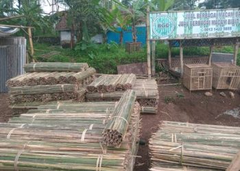 Pemuda Ciamis Sukses Bisnis Tuturus Bambu, Bidik Pasar Petani