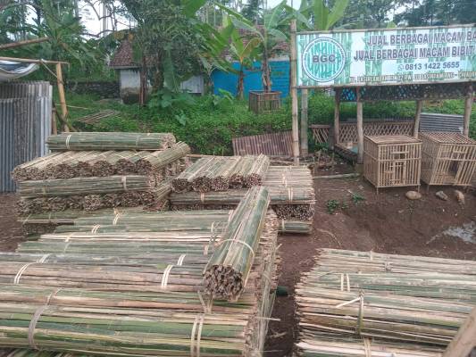 Pemuda Ciamis Sukses Bisnis Tuturus Bambu, Bidik Pasar Petani