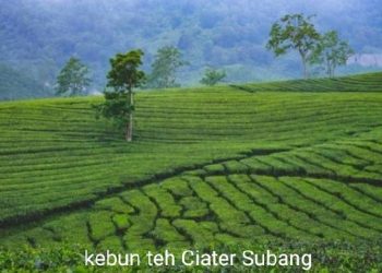 7 Destinasi Wisata Subang dengan Pemandangan Menakjubkan